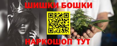 дживик Шелехов